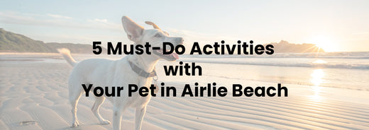 5 Must-Do Activities with Your Pet in Airlie Beach