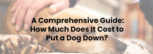 How Much Does It Cost to Put a Dog Down? A Comprehensive Guide
