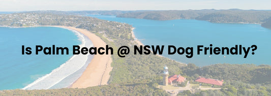 Palm Beach, NSW: Is It Dog Friendly?