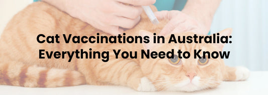 Cat Vaccinations in Australia: Everything You Need to Know