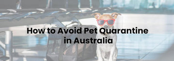 how to avoid pet quarantine in australia