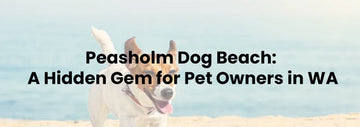 Peasholm Dog Beach: A Hidden Gem for Pet Owners in WA