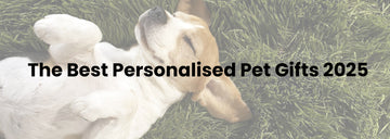 The Best Personalised Pet Gifts 2025