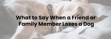 What to Say When a Friend or Family Member Loses a Dog